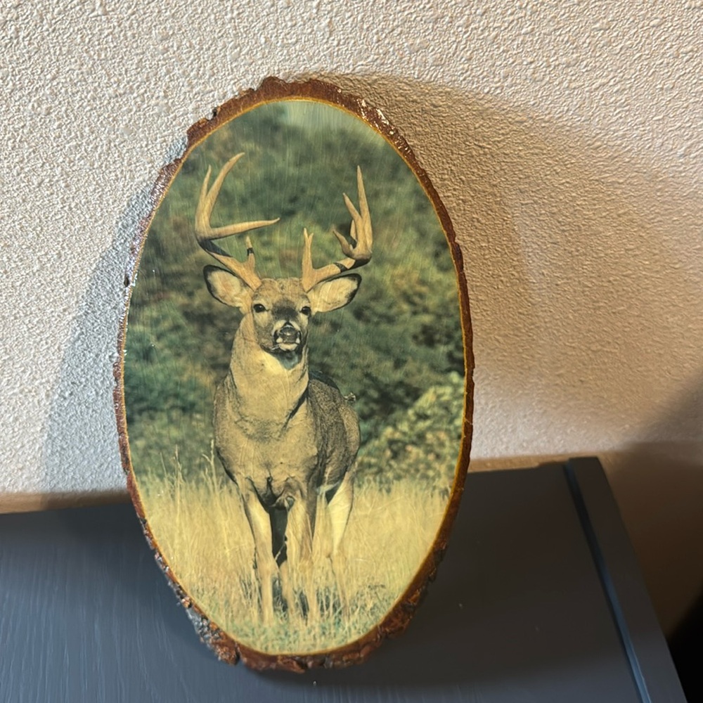 Buck Print on Wood Slice
